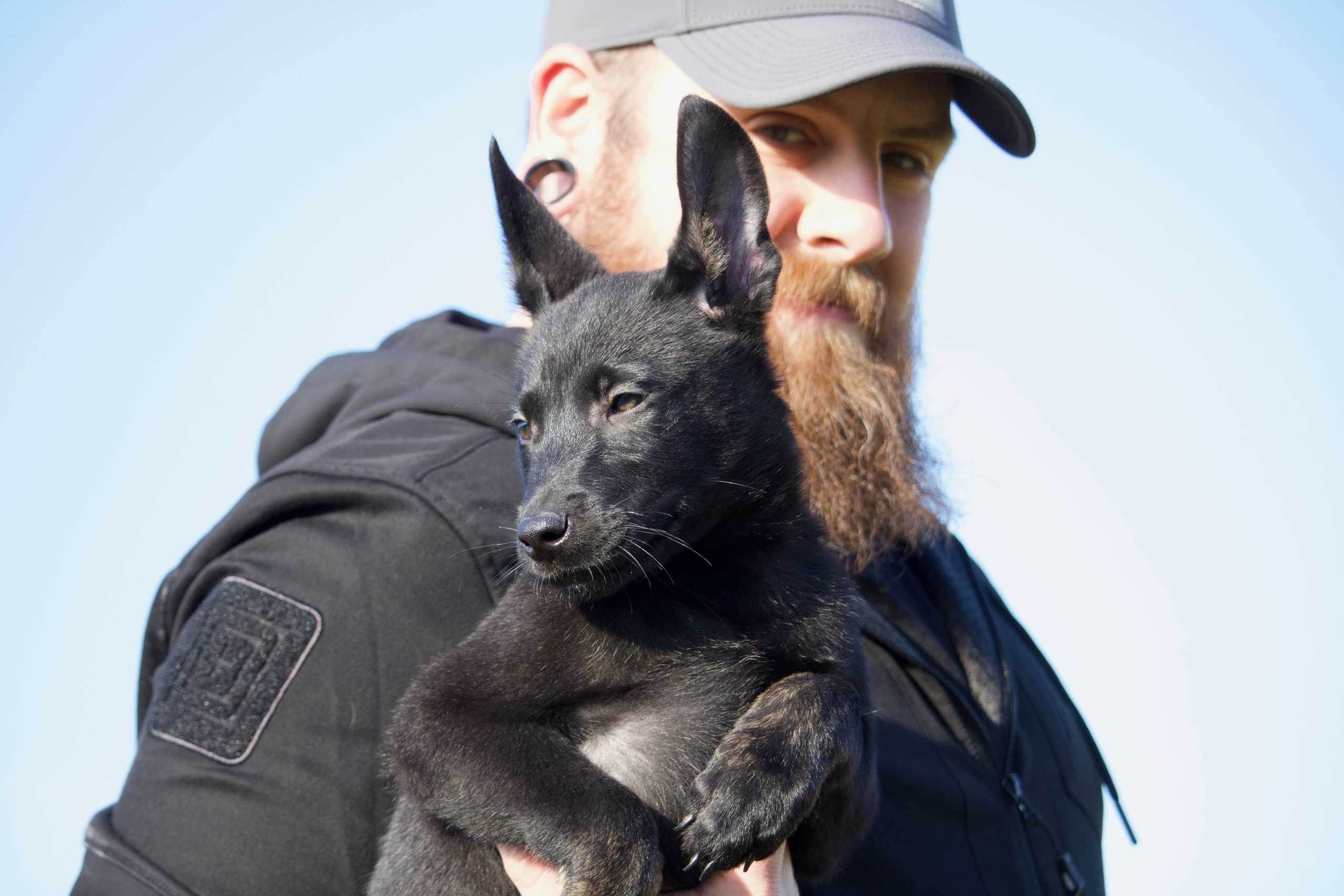 Brian Ferguson, Agoge K9