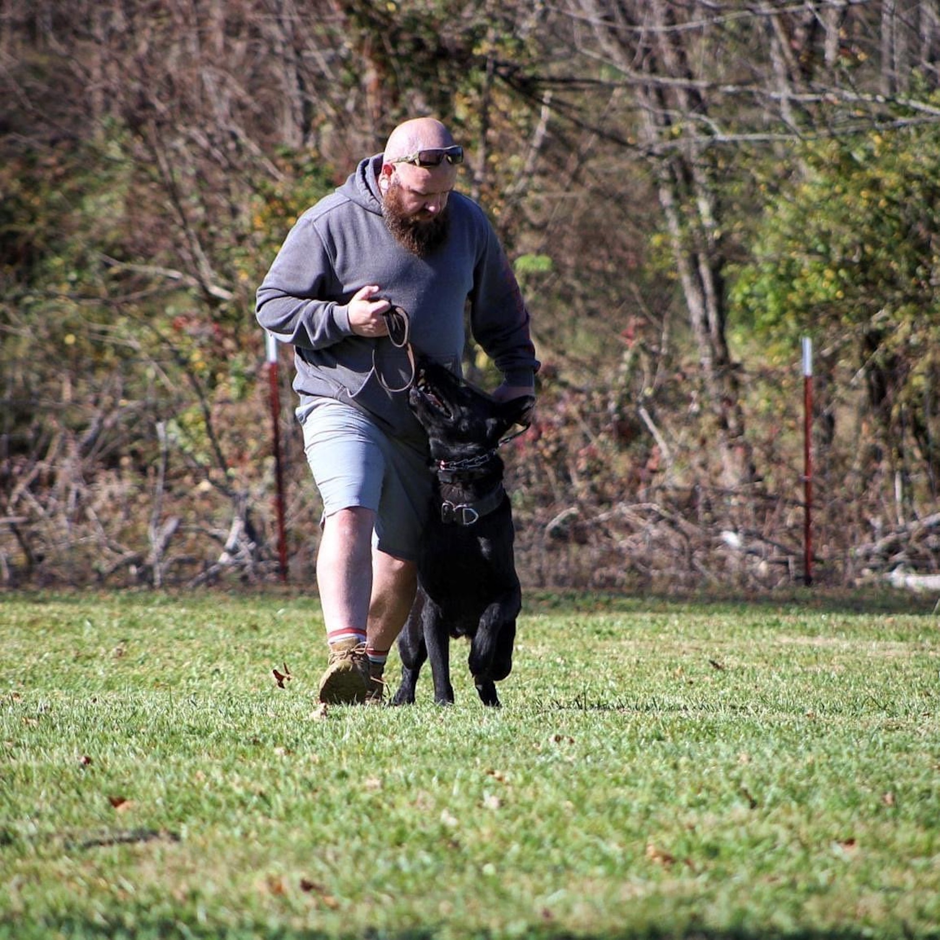 An Agoge trainer working a dog through a cohort camp