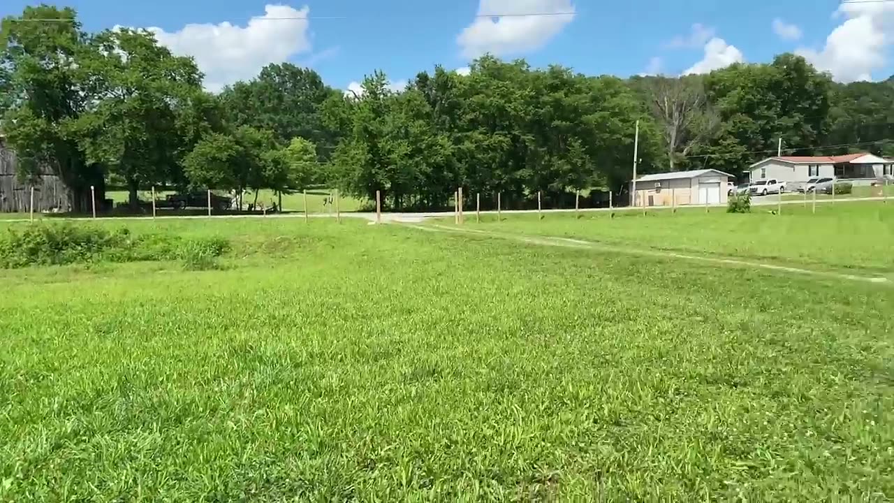 The open training fields on the twenty-acre Agoge K9 property